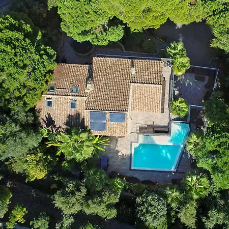 Jungle Otel Sainte-Maxime