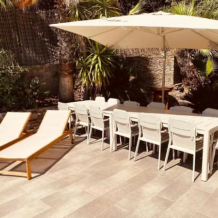 Otel Jungle