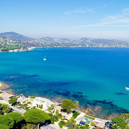 Jungle Otel Sainte-Maxime