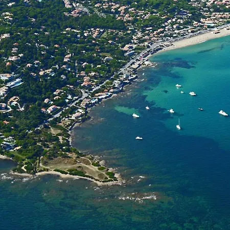 Jungle Sainte-Maxime